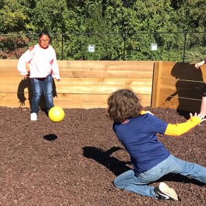 5 Interesting Things to Know About GaGa Ball Game