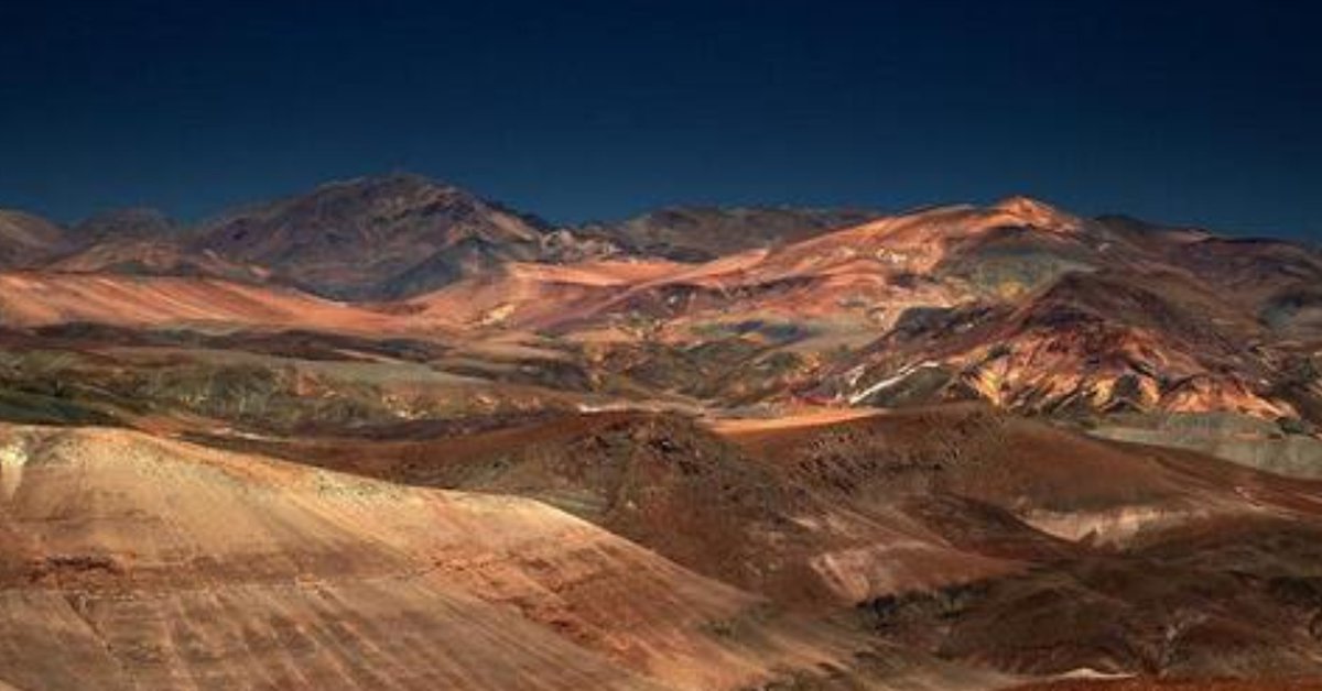 Extraterrestrial Remains or Plant Fossils ?: Scientific Discussion on Silicate Glass in the Atacama Desert
