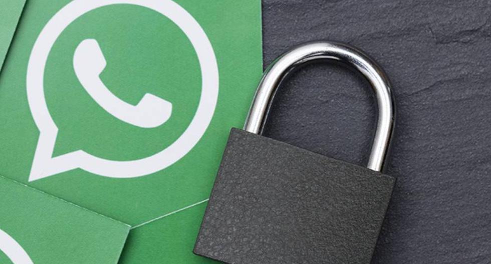 WhatsApp: Can Google spy on my conversations?  |  Applications |  Cell Phones |  Training |  Technology |  Viral |  Nnda |  nnni |  Game-game
