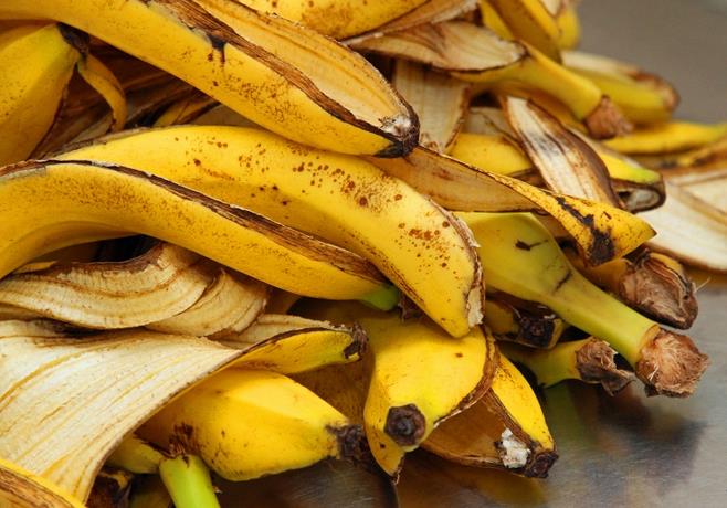 Switzerland – Scientists manage to extract hydrogen from banana peel, which is considered the perfect fuel.