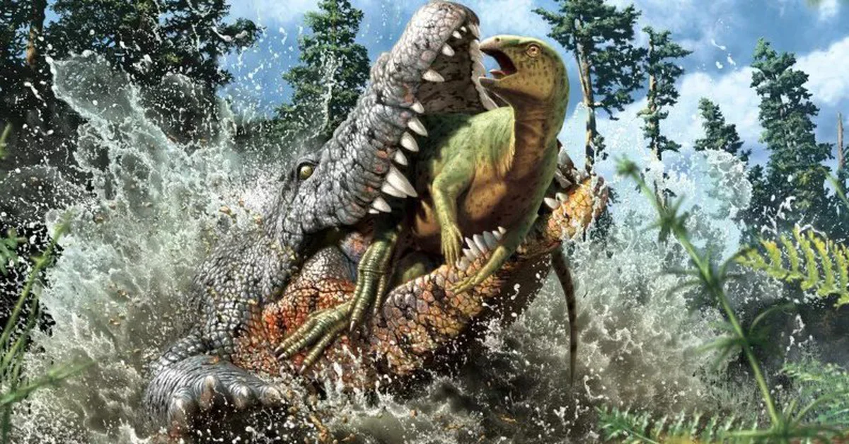 A large crocodile was found in its stomach with the remains of a dinosaur