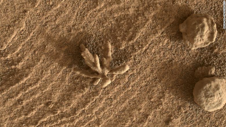 The Curiosity rover discovered a small ‘flower’ formation on Mars