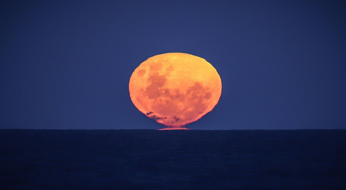 Strawberry Moon 2022: Time to watch Super Moon from Mexico and the US |  Full moon |  Strawberry Super Moon 2022 |  Full Moon June 2022 |  USA |  Science