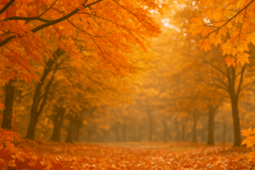 Oklahoma Historical Society Unveils Packed Autumn Programme of Cultural Events