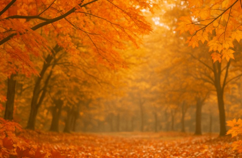 Oklahoma Historical Society Unveils Packed Autumn Programme of Cultural Events