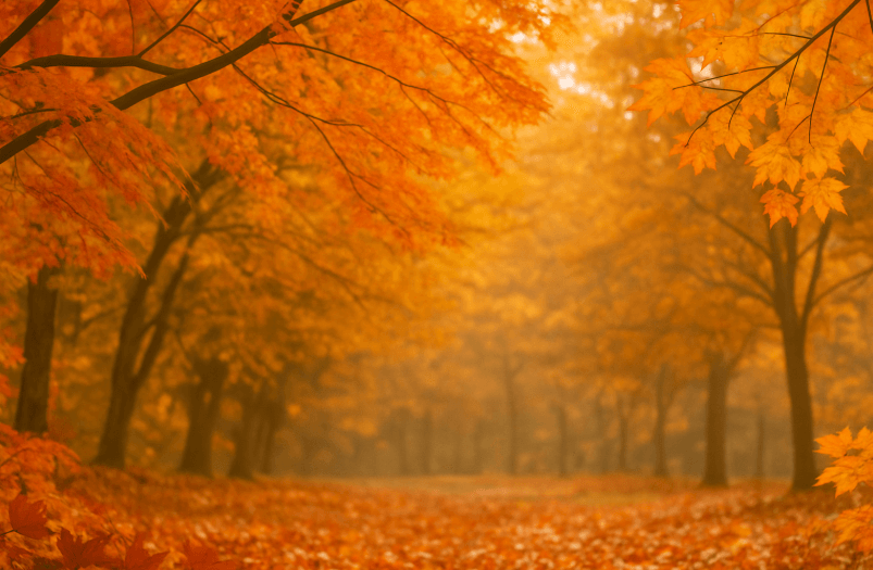 Oklahoma Historical Society Unveils Packed Autumn Programme of Cultural Events