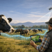 Virtual Fencing Trial Signals Shift in Livestock Management Practices