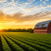USDA Opens Nominations for Farm Service Agency County Committees Ahead of 2026 Elections USDA Opens Nominations for Farm Service Agency County Committees Ahead of 2026 Elections