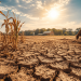 USDA Expands Drought Relief Support for North Carolina Farmers and Livestock Producers USDA Expands Drought Relief Support for North Carolina Farmers and Livestock Producers