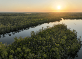 Pasquotank River and Albemarle Sound Prepare for High-Stakes Return of Bassmaster Elite Series