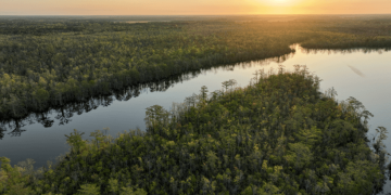 Pasquotank River and Albemarle Sound Prepare for High-Stakes Return of Bassmaster Elite Series