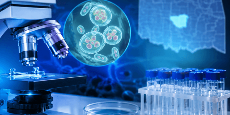 OSDH Updates Cyclosporiasis Dashboard After Technical Issue Affects Initial Case Data OSDH Updates Cyclosporiasis Dashboard After Technical Issue Affects Initial Case Data