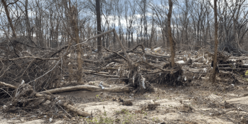 U.S. Army Corps of Engineers Awards .76 Million Contract for Cherokee National Forest Debris Removal