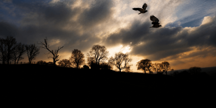 Little OPERA Theatre of NY Brings Carlisle Floyd’s ‘Wuthering Heights’ Back to New York