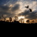Little OPERA Theatre of NY Brings Carlisle Floyd’s ‘Wuthering Heights’ Back to New York Little OPERA Theatre of NY Brings Carlisle Floyd’s ‘Wuthering Heights’ Back to New York