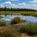 EPA Advances Kerr-McGee Superfund Cleanup in Navassa With New Remediation Plans EPA Advances Kerr-McGee Superfund Cleanup in Navassa With New Remediation Plans