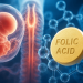 Researchers Identify How Folic Acid May Protect Against Brain and Spinal Cord Birth Defects Researchers Identify How Folic Acid May Protect Against Brain and Spinal Cord Birth Defects