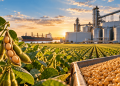 U.S. Soybean Farmers Focus on Higher Yields as Domestic Processing Capacity Expands U.S. Soybean Farmers Focus on Higher Yields as Domestic Processing Capacity Expands